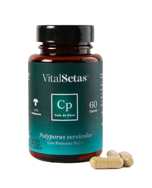 Cola de pavo Vital setas 60 cápsulas Hongo Funcional