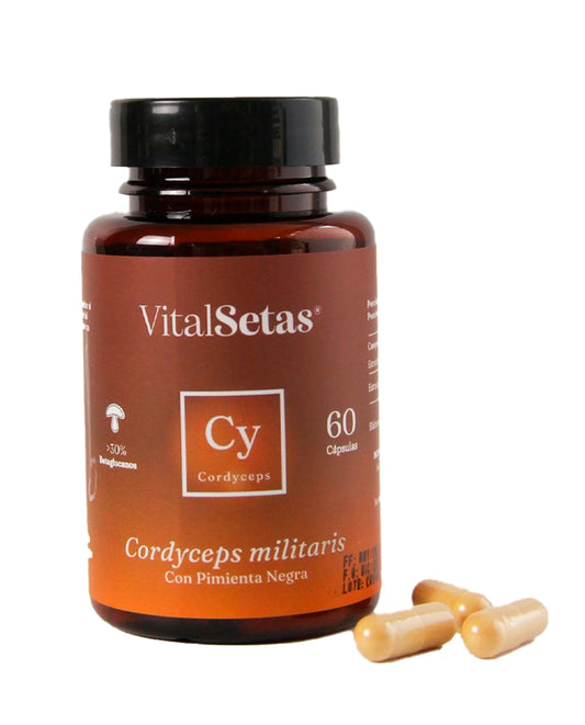Cápsulas Cordyceps Vital setas Hongo Funcional