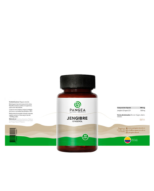 Jengibre cápsulas frasco x 60 caps de Pangea
