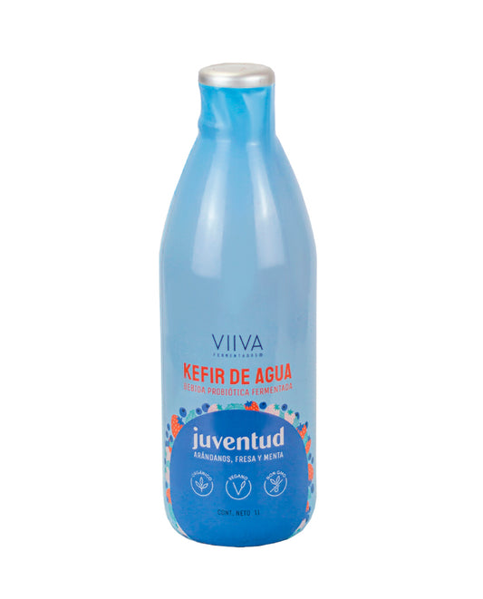 Kéfir en agua juventud Viiva 1000 ml