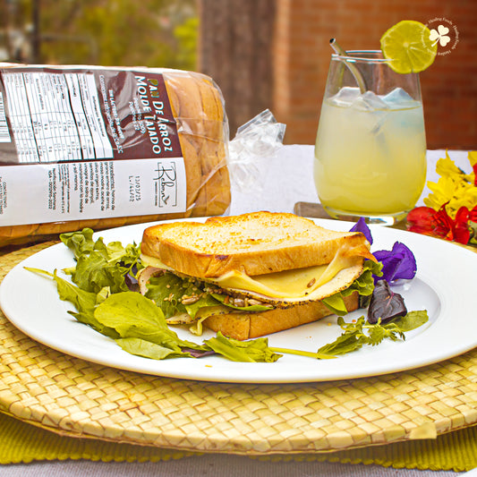 Pan de arroz molde tajado Reborn 500 gr