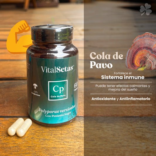 Cápsulas Cola de pavo "Vital setas"