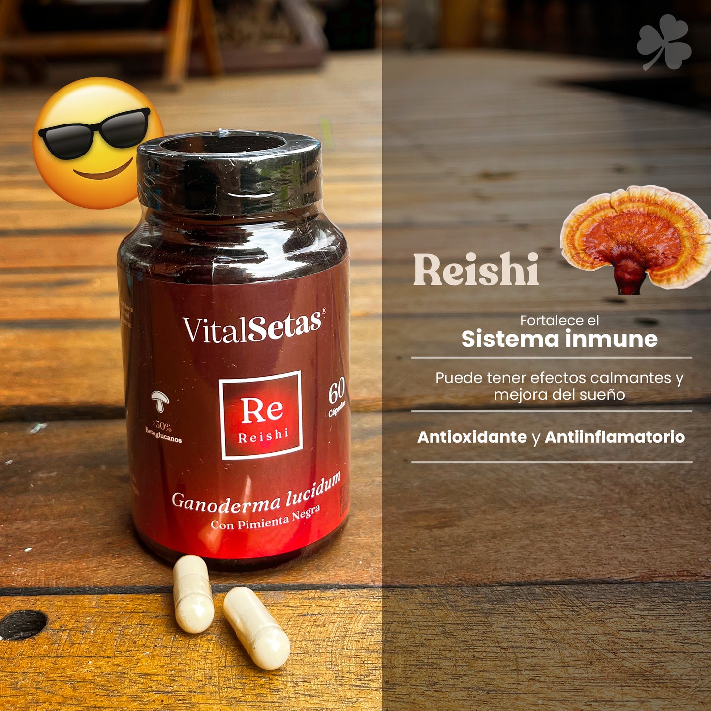 Cápsulas Reishi "Vital setas"