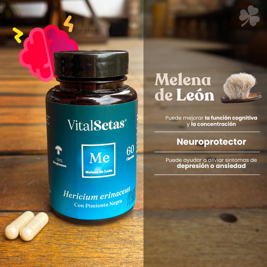 Cápsulas Melena de Leòn "Vital setas"