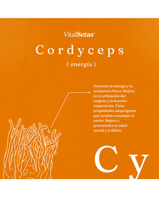 Cápsulas Cordyceps Vital setas Hongo Funcional