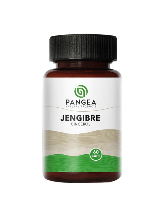 Jengibre cápsulas frasco x 60 caps de Pangea