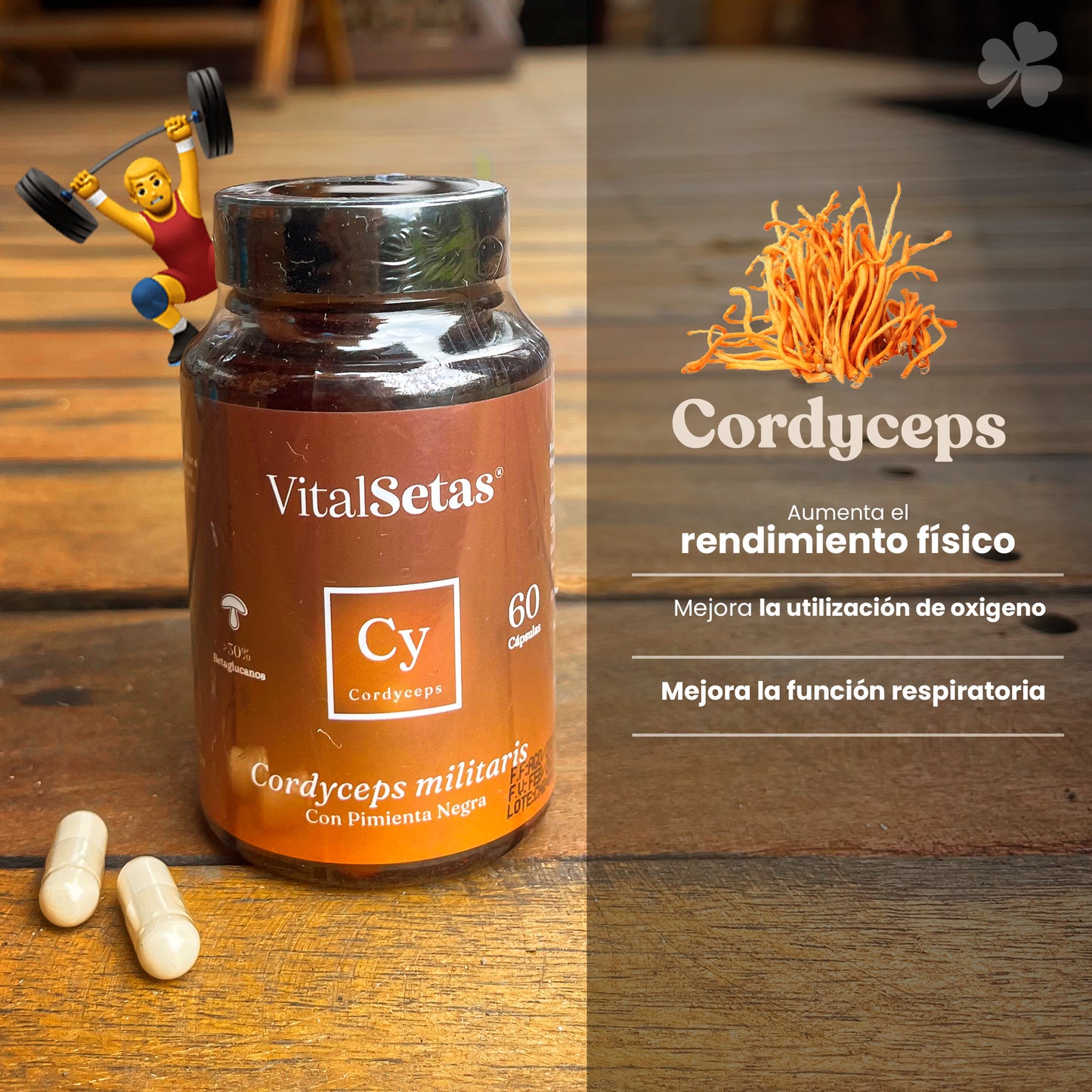 Cápsulas Cordyceps Vital setas