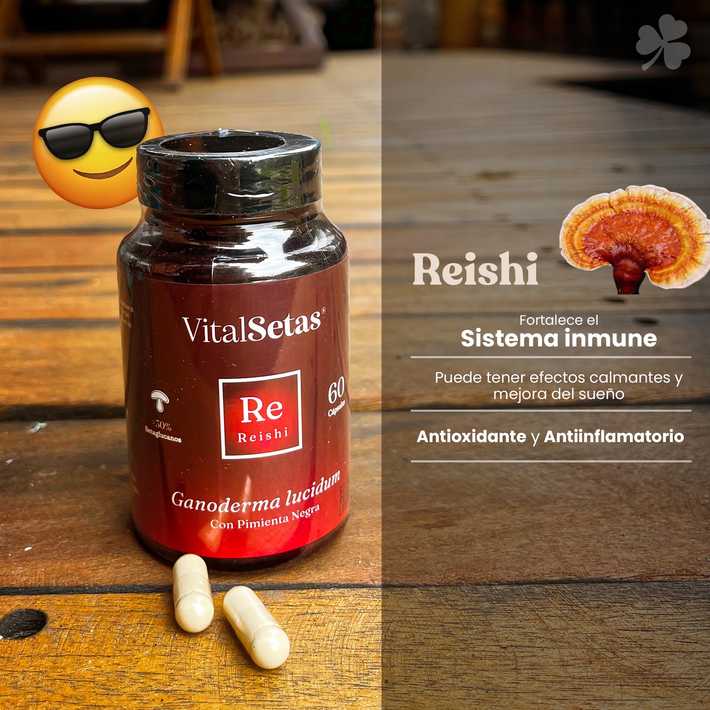 Cápsulas Reishi Vital setas