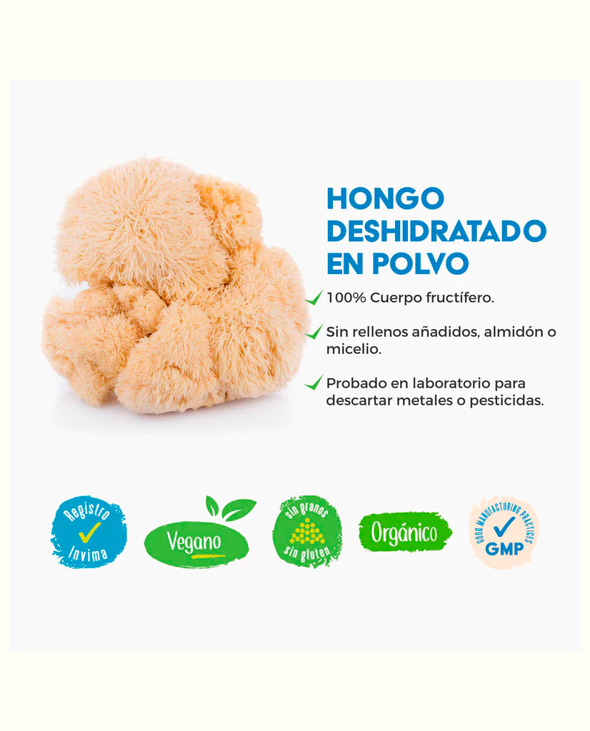 Galletas para perros con hongos funcionales VitalPets 10 Unds
