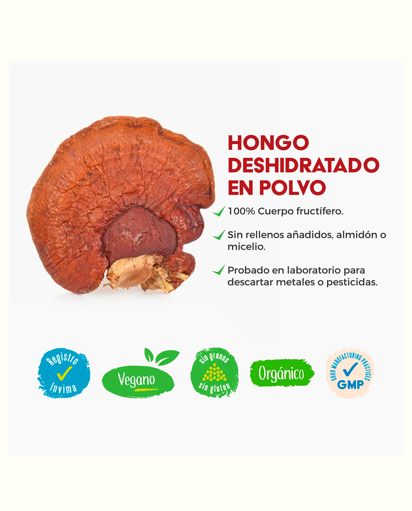 Galletas para perros con hongos funcionales VitalPets 10 Unds